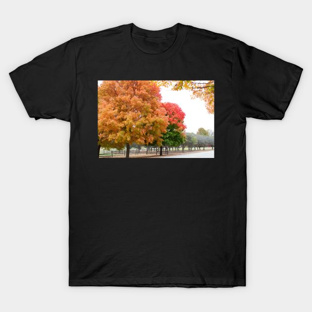 Autumn fall trees change yellow red green thanksgiving T-Shirt by Beccasab photo & design